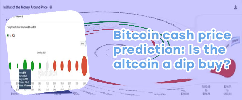 Bitcoin cash projections