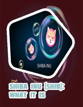 How do i buy shiba cryptocurrency