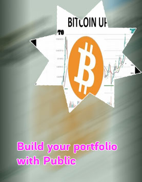 When did bitcoin go public